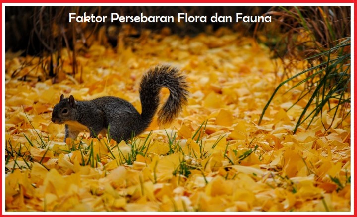 Faktor Persebaran Flora dan Fauna