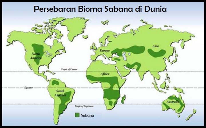 Peta persebaran Bioma Savana
