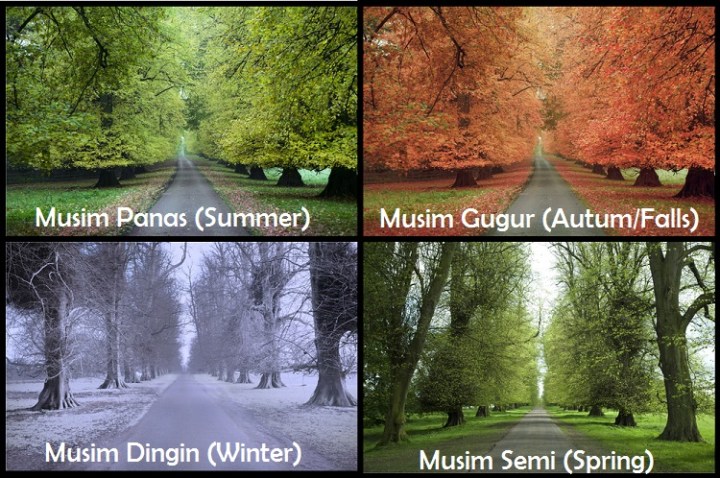 Perubahan 4 musim di bioma hutan gugur