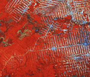 Spektrum Inframerah Asli